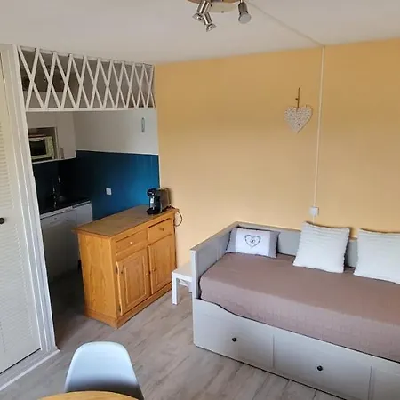 Apartment Mouflon Rdc Balcon Plein Sud Garage Font-romeu